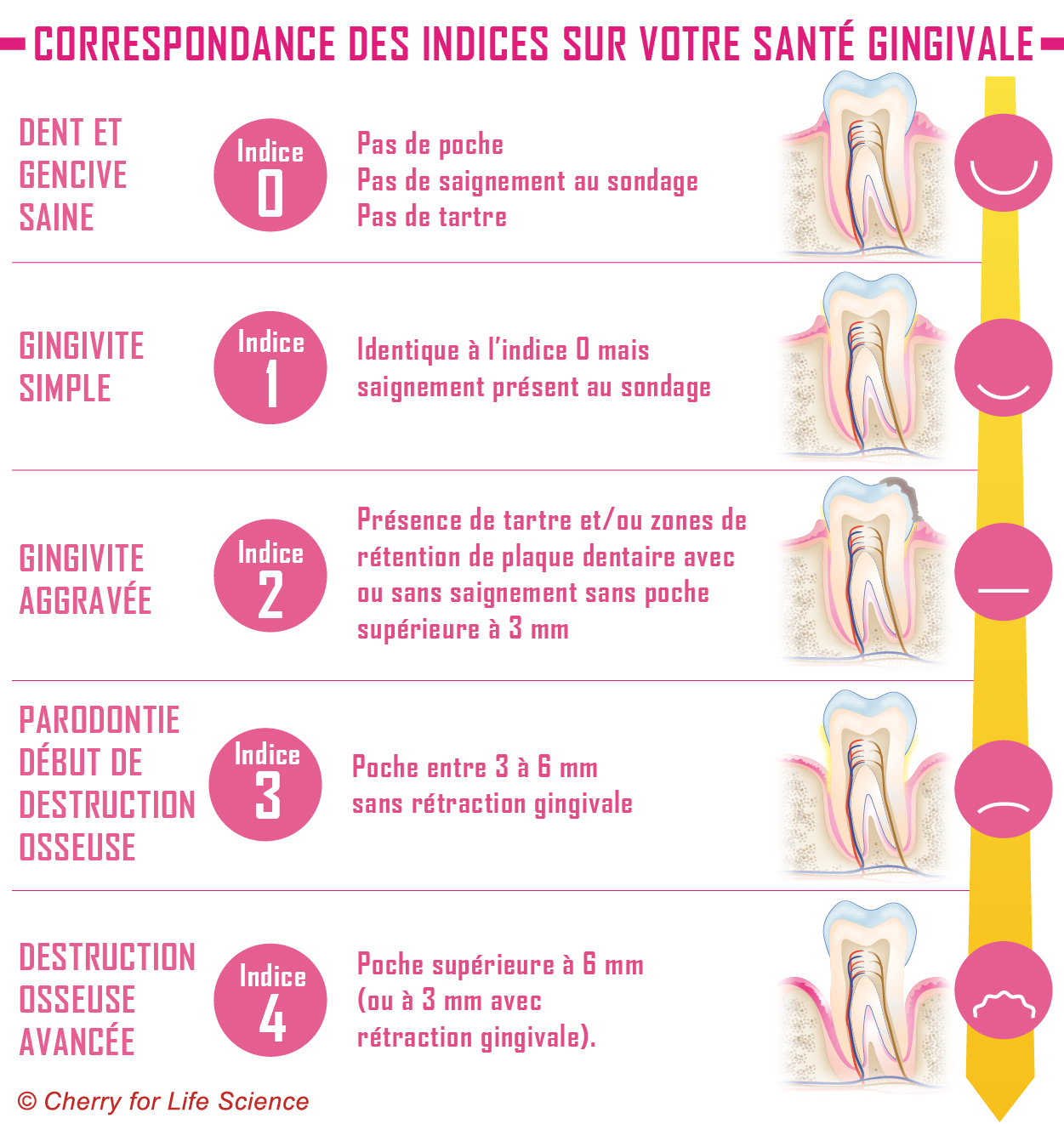 Prévention parodontale